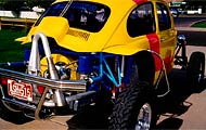 baja beetle